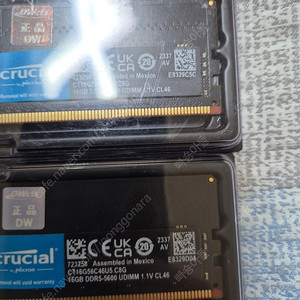 마이크론 5600 32gb cl46