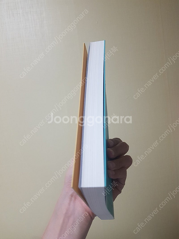 젊은 근희의 행진/ 이서수작가--2