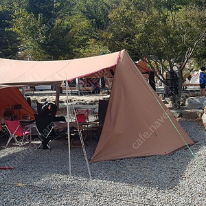 장박하기좋은 쉘터 텐트 타프 일괄판매