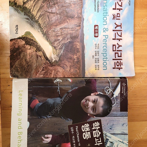 심리학과 전공책 (감각 및 지각심리학, 행동 학습심리학)