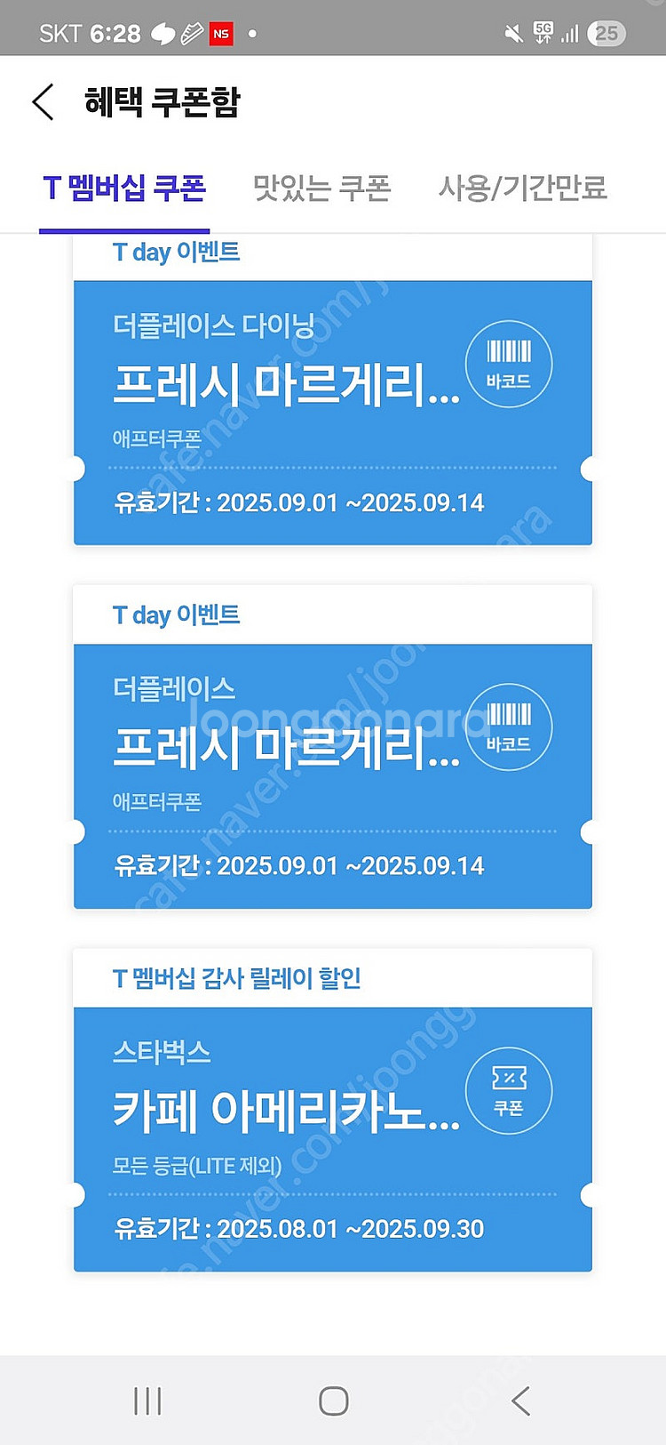 티데이 롯데월드 마르게르타 피자 무료--1