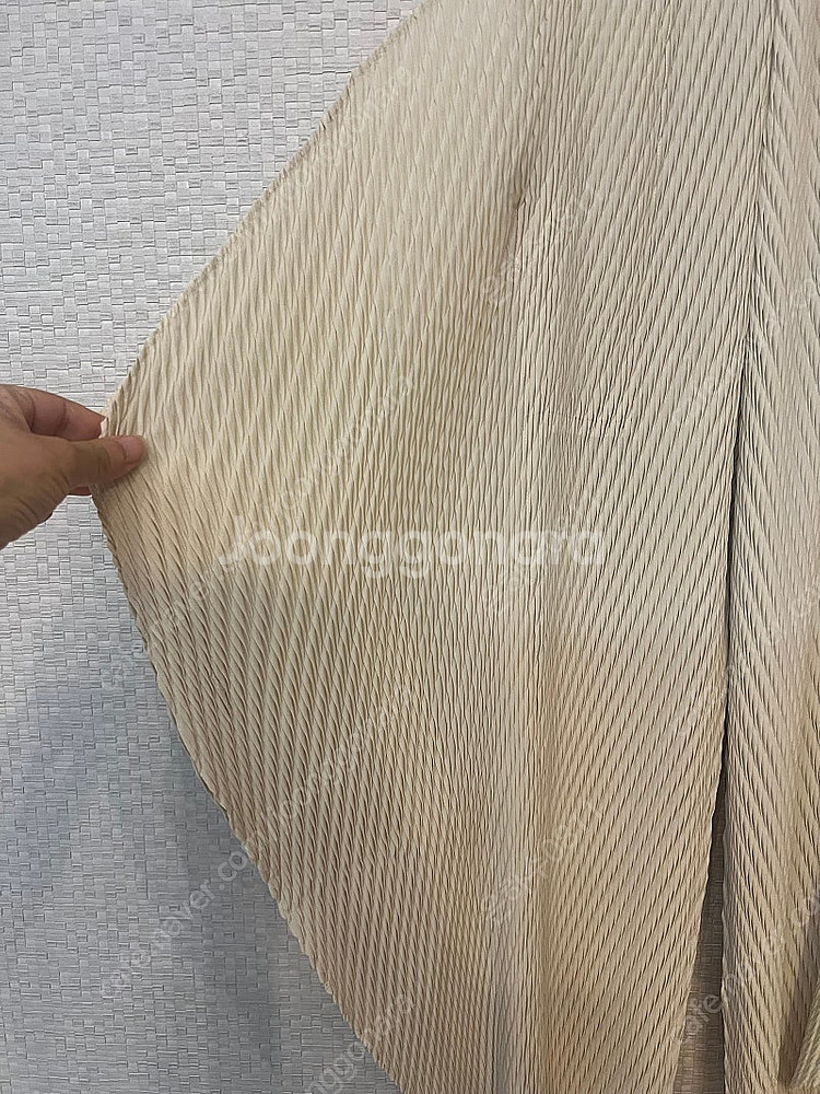이세이미야케 오비큘러 팬츠--3