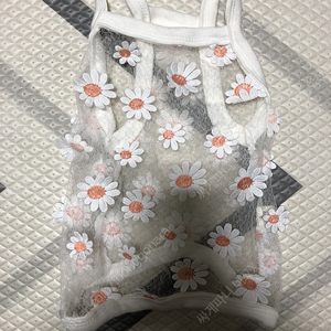 강아지 옷 개당 5천원