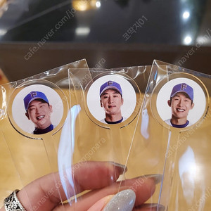 불꽃야구 9월14일 문학 C1석 V4 정가양도