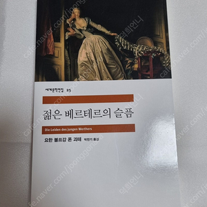민음사 세계문학전집 <젊은 베르테르의 슬픔>