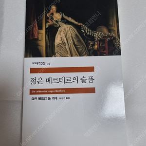 민음사 세계문학전집 <젊은 베르테르의 슬픔>