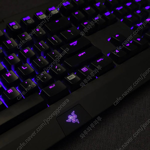 레이저 블랙위도우 크로마 스텔스 2014 / 레이저 녹축 팝니다.