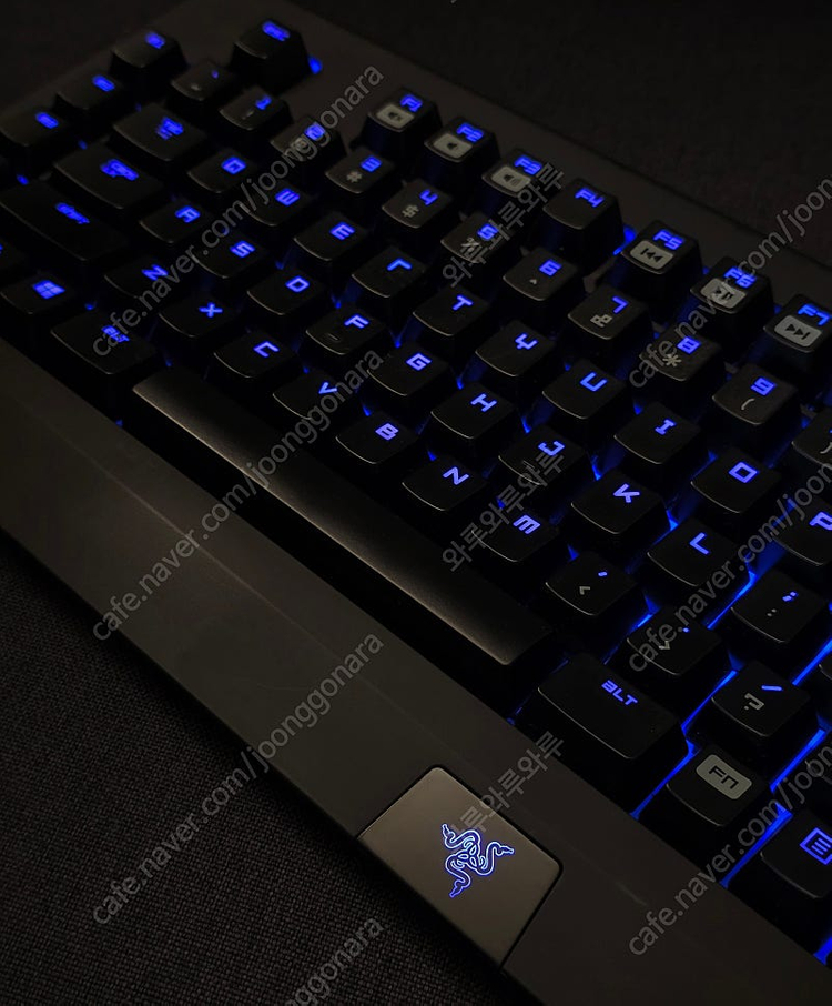 레이저 블랙위도우 크로마 스텔스 2014 / 레이저 녹축 팝니다.--1