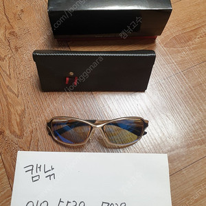 질옵틱스 도리오 A-1601 편광 선글라스