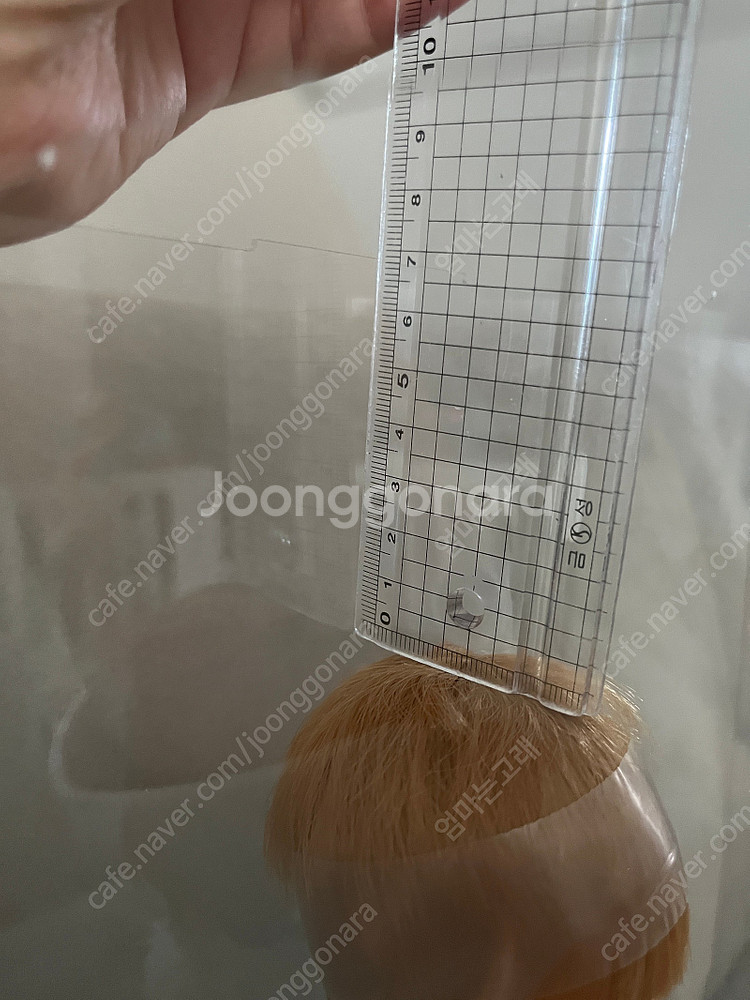 파올라레이나 아크릴 케이스 / pvc 투명 케이스--7