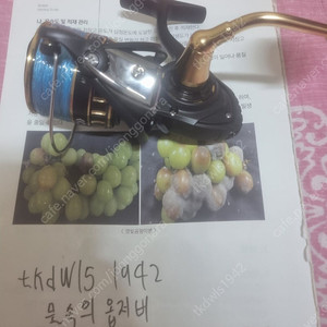 다이와BG 6000-H 보증서있음 스피닝릴팝니다