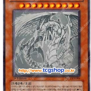 [유희왕카드 구매글] TP1 대회판 + 레인보우, 스타더스트 홀로 + 비기너즈팩1 카드