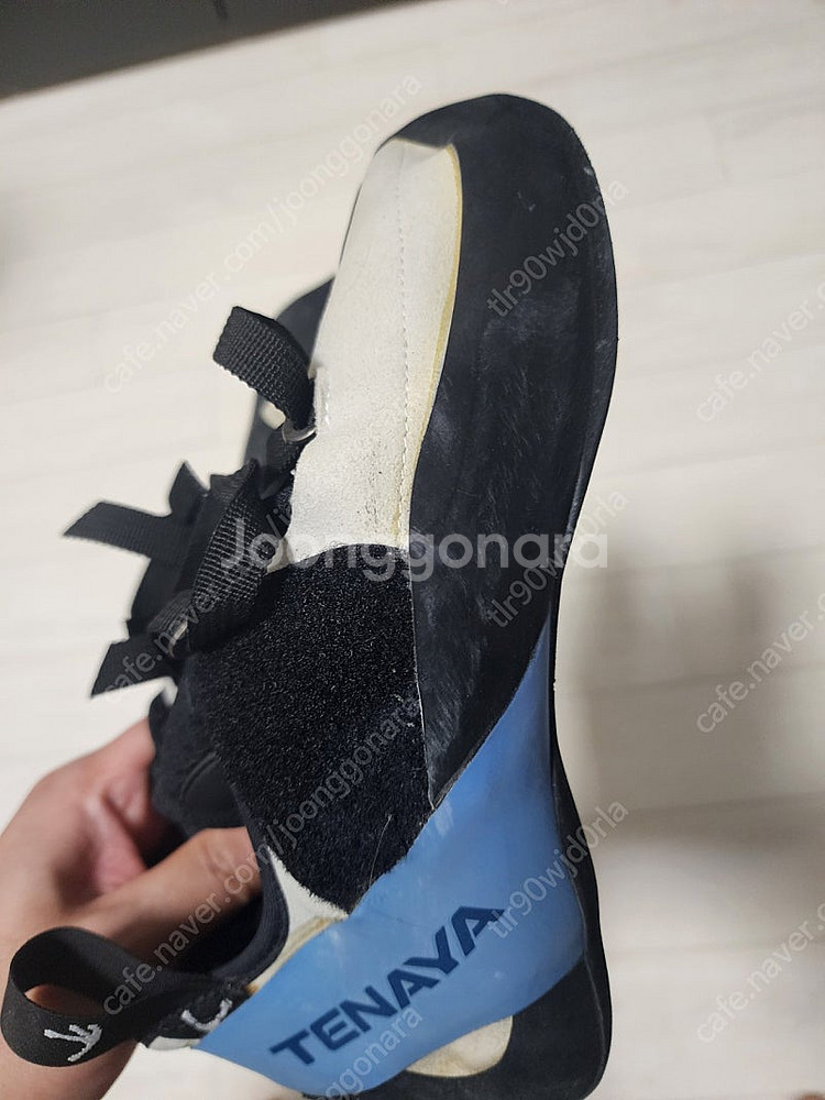 테나야 오아시 270mm--1