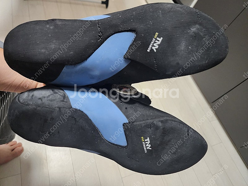 테나야 오아시 270mm--4