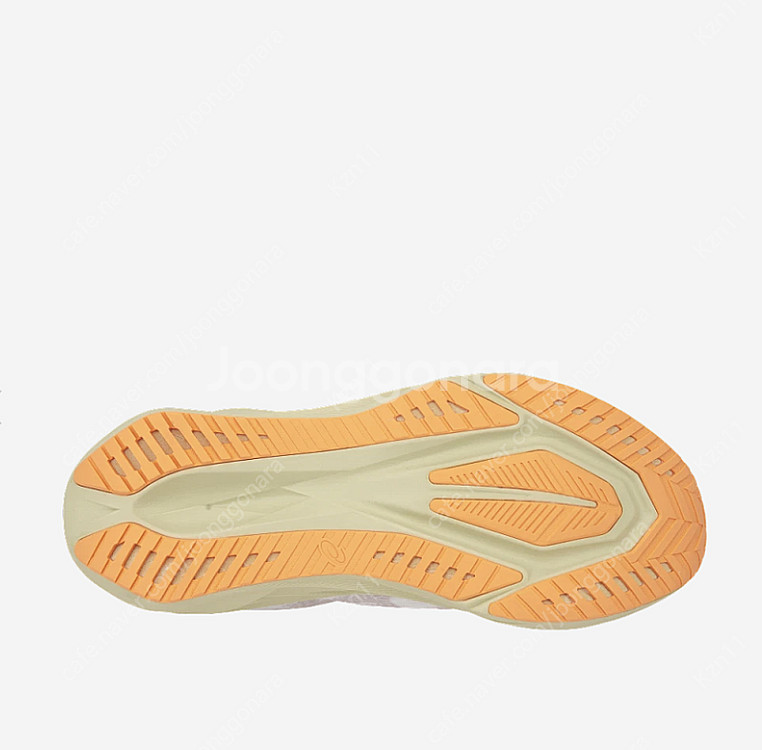 아식스 노바블라스트5 화이트 펀 270, 285--1