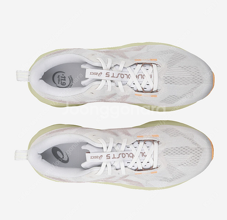 아식스 노바블라스트5 화이트 펀 270, 285--2