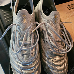 미즈노 모렐리아 살라 베타 제펜 270