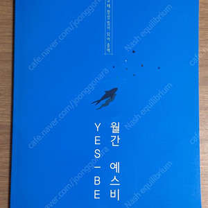 2025 강남대성 사회문화 월간 예스비 4 강대 k 실모 모음 16회분