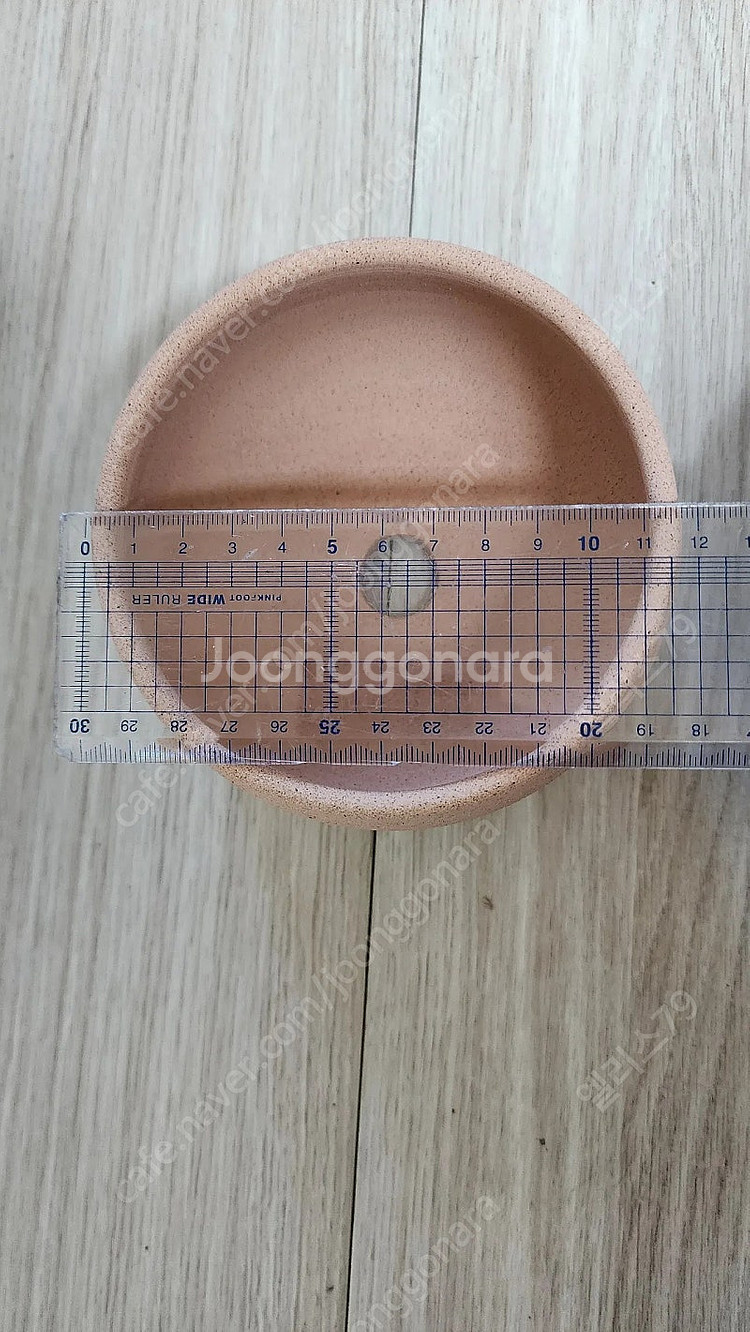 두갸르송 토분 사용×--1