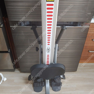바디엑스 R5 유압실린더 홈트 노젓기 로잉머신 팝니다 (부산)