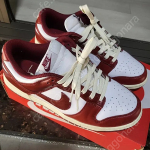 나이키 덩크로우 프리미엄 270