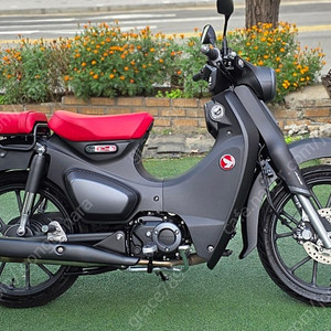 혼다 C125