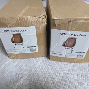 몬테라 CVT2 그란데 L 탄색상
