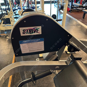 스트라이브 트라이셉스익스텐션