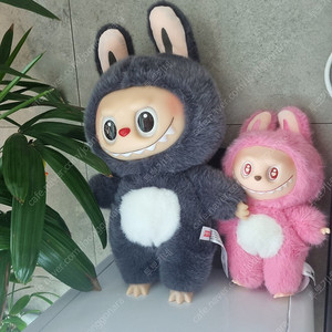 대형 대왕 라부부 지모모 일괄