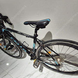 첼로 XLR1 로드 자전거 판매(네고가능)