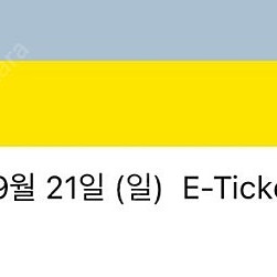 모모콘 일요일 양도 1매