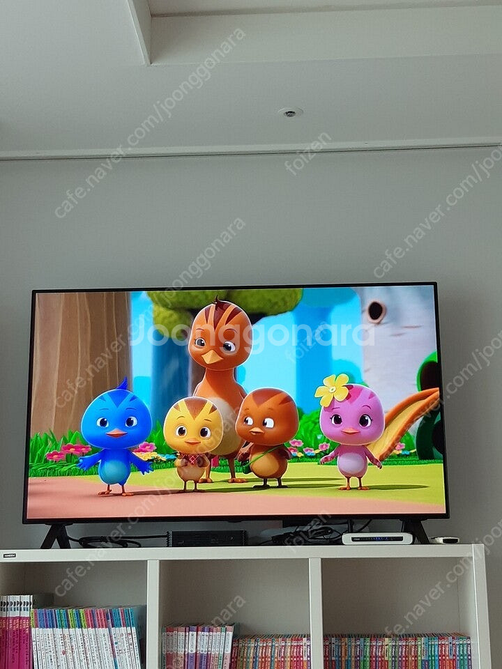 LG 올레드 48인치 OLED TV--0