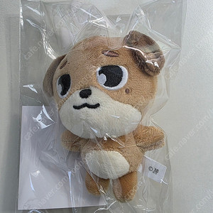 데이식스 데니멀즈 일본 MD 돈 백참 (미개봉)