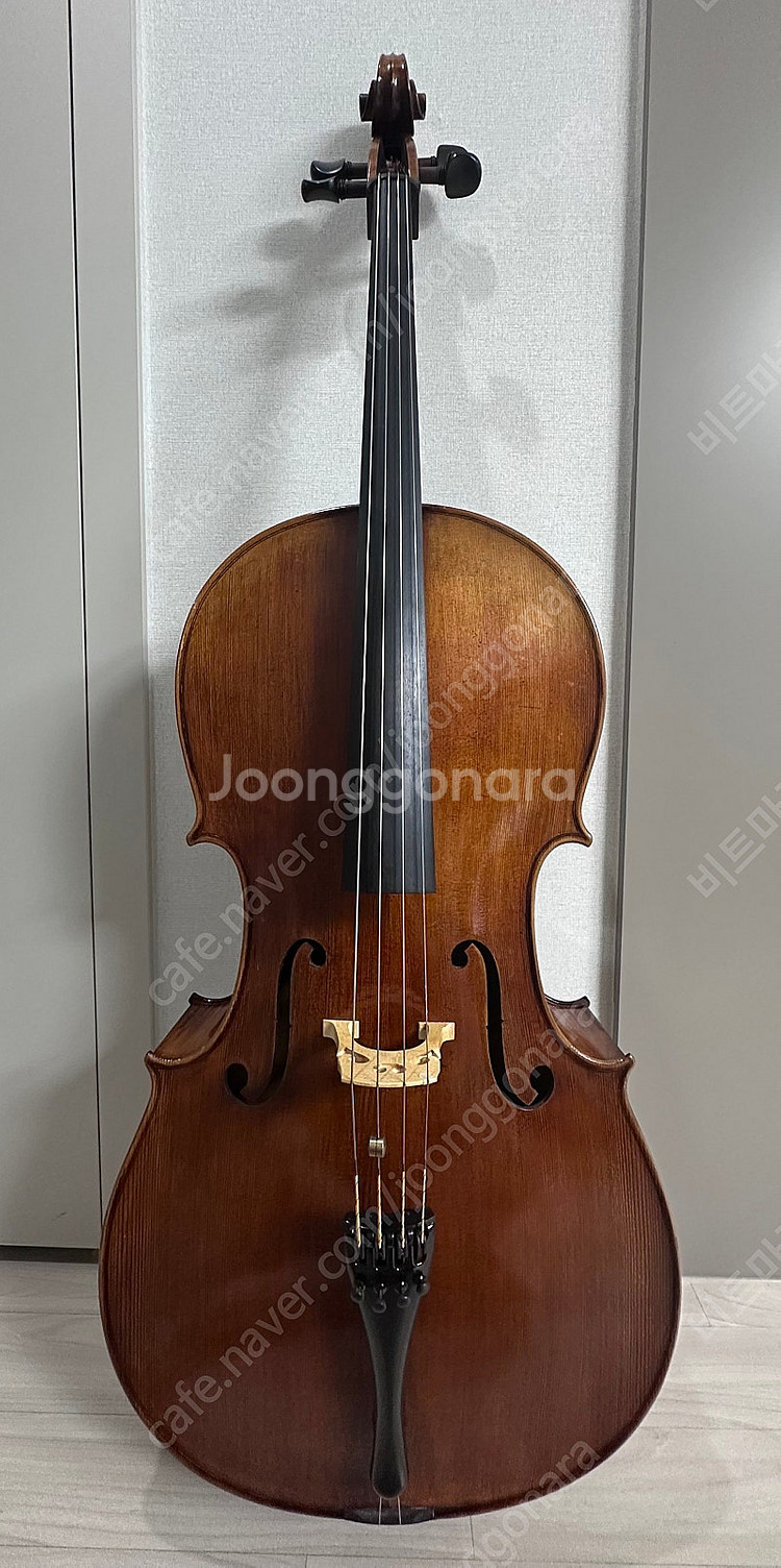 첼로 가브리엘 900호 4/4--0