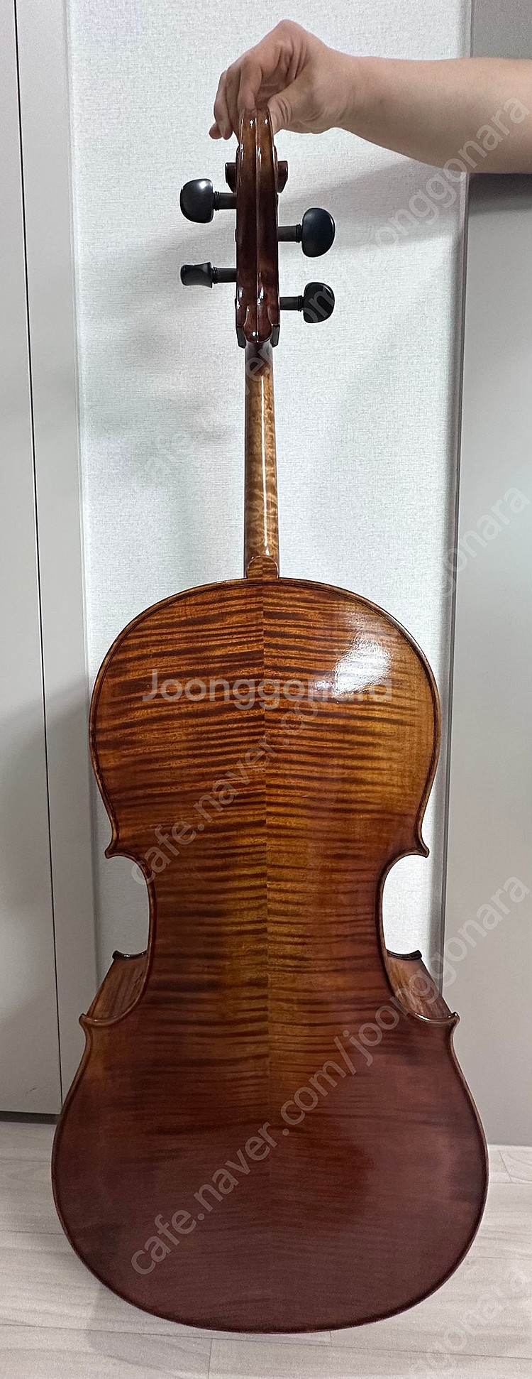 첼로 가브리엘 900호 4/4--1