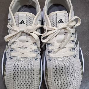 아디다스 여성 250 Size 새상품 (택포33000원