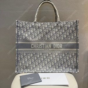 디올 오블리크 북 도트백 그레이 라지