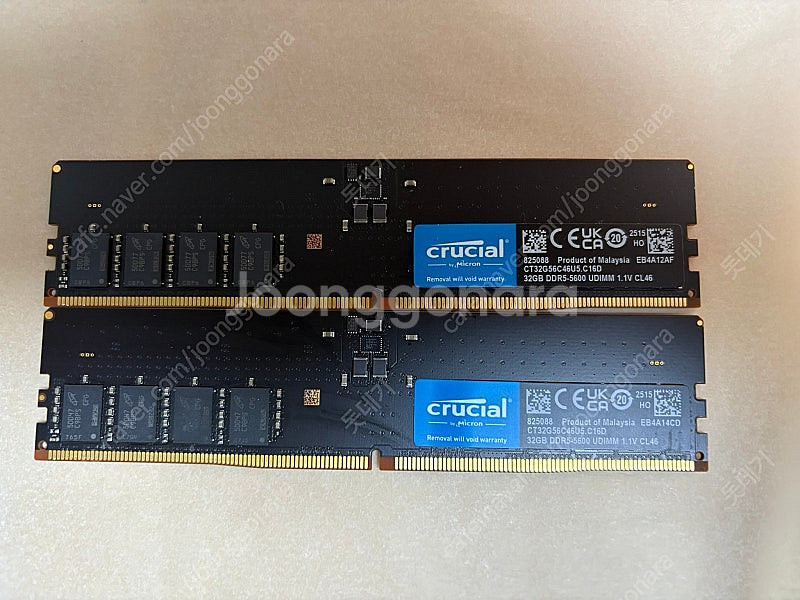 마이크론 Crucial DDR5 PC5-44800 CL...--0