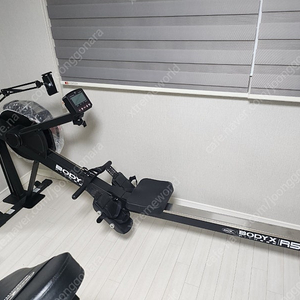 바디엑스 로잉머신 R500