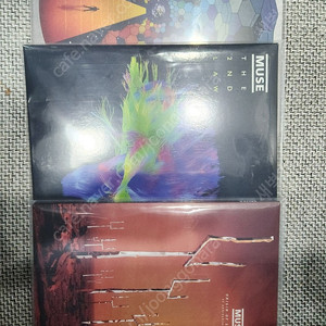 뮤즈 MUSE LP 팝니다