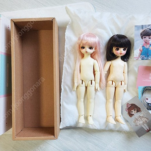 치카비usd 페코와도로시 외