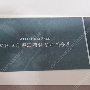 강원도 웰리힐리파크 콘도 패밀리형 숙소 초대권