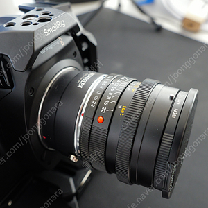 라이카 ELMARIT-R 24mm F2.8 asph