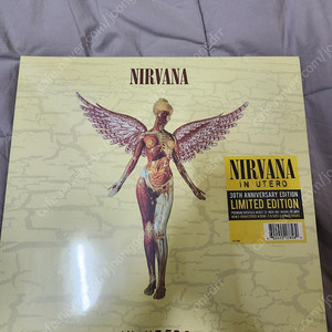 너바나 in utero lp 30주년