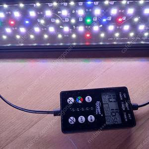 미국 아마존 수족관 히팅, LED ,쿨링팬 새것