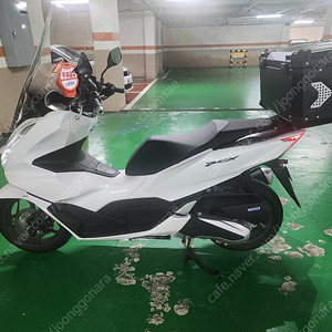 [대구 수성구] 24년식 혼다 pcx 125 팝니다