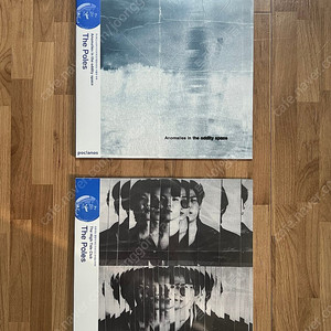 더폴스 (The poles) - Ep Anomalies in the oddity space, 정규1집 The high tide club 한정반 미개봉 LP 판매합니다.