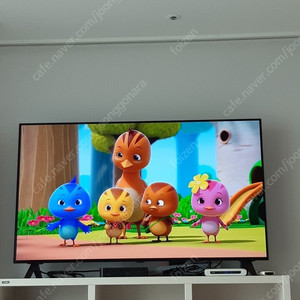 LG 올레드 48인치 OLED TV
