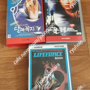 판매) 비디오테입- 마틸다메이의꼴레트,달과꼭지,뱀파이어