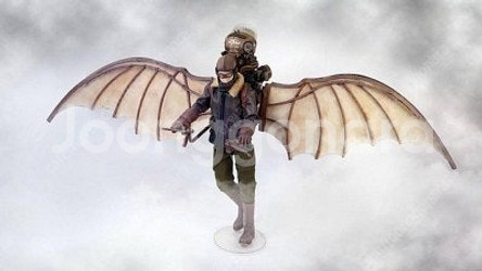 black13park(블랙13파크) 에어본 아이린 참새 미개봉 팝니다--0